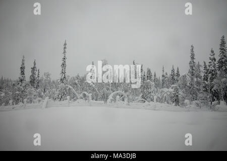 Viaggio in treno da Kiruna per Boden, Svezia Foto Stock