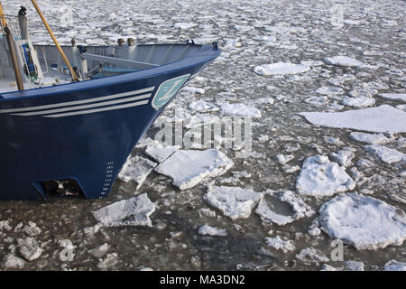 Floes nel bacino portuale di Hörnum, isola di Sylt, Nord Frisians SCHLESWIG-HOLSTEIN, Germania, Foto Stock