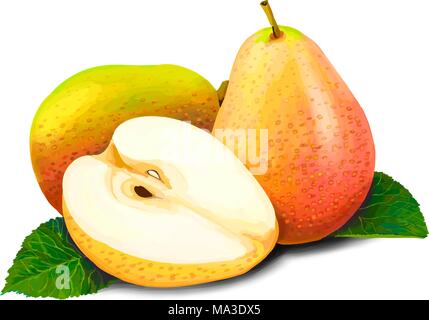Frutti dolci pere Illustrazione Vettoriale