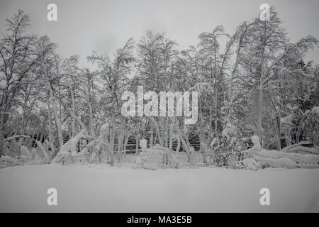 Viaggio in treno da Kiruna per Boden, Svezia Foto Stock