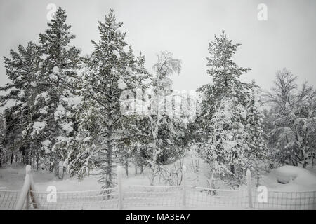 Viaggio in treno da Kiruna per Boden, Svezia Foto Stock