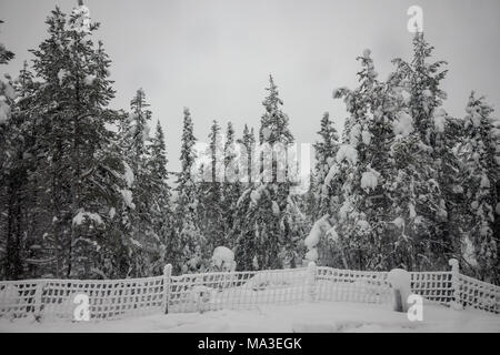 Viaggio in treno da Kiruna per Boden, Svezia Foto Stock