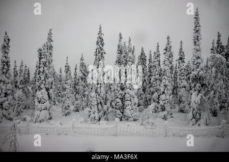 Viaggio in treno da Kiruna per Boden, Svezia Foto Stock