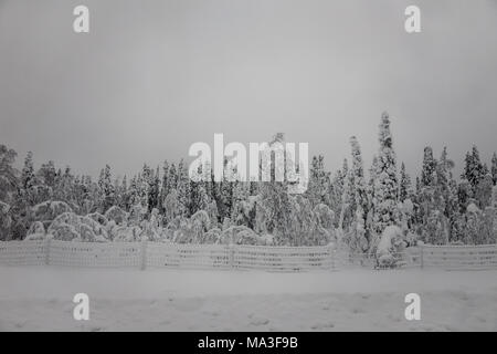 Viaggio in treno da Kiruna per Boden, Svezia Foto Stock