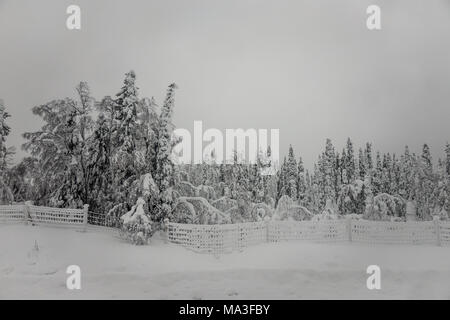 Viaggio in treno da Kiruna per Boden, Svezia Foto Stock