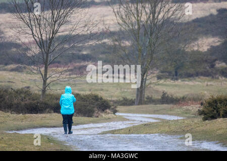 Il Galles del Nord, Regno Unito 29 marzo 2018, UK Meteo: come la Banca week-end di vacanza inizia e la gente la testa fuori per un fine settimana lungo in modo che la banca tipico meteo vacanze con heavy rain nel Galles del Nord e la possibilità di neve pesante su lunedì festivo. Una persona walkign in heavy rain nel villaggio di Rhes-y-Cae vestito per la Bank Holiday tempo piovoso © DGDImages/Alamy Live News Foto Stock