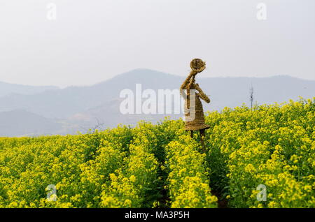 Luoyan, Luoyan, Cina. 30 Mar, 2018. Luoyang, Cina-29th Marzo 2018: Vari strawmen può essere visto nel mezzo di canola archiviato in Luoyang, centrale cinese della Provincia di Henan. Credito: SIPA Asia/ZUMA filo/Alamy Live News Foto Stock