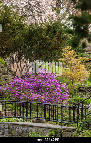 Una bella vista dei giardini di High Park in fiore in primavera. Foto Stock