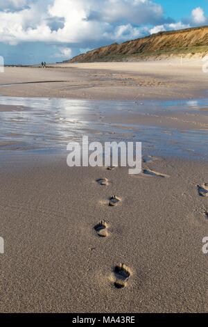 Orme nella sabbia sulla spiaggia in Sylt, Germania Foto Stock