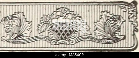 . Ellwanger &AMP; Barry Mt Hope vivai 1916 Foto Stock