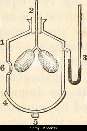 . Elementi di fisica fisiologica: una panoramica dei dati elementari, i principi e i metodi della fisica; e le loro applicazioni in fisiologia Foto Stock