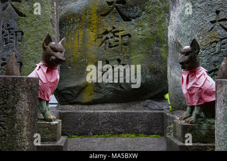 Asia, Giappone, Nihon, Nippon, Kyoto, Senbon Torii Fushimi Inari Taisha Foto Stock