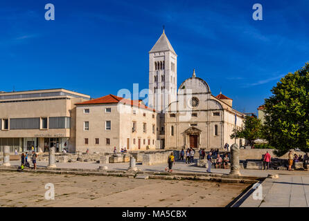 Croazia, Dalmazia, Zara, Zeleni Trg City Square, il Foro Romano e il Museo Archeologico con chiesa Sveta Marije Foto Stock