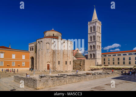 Croazia, Dalmazia, Zara, Zeleni Trg city square, Foro Romano con la chiesa rotonda Sveti Donat e la torre campanaria del Duomo Sveta Stosija Foto Stock