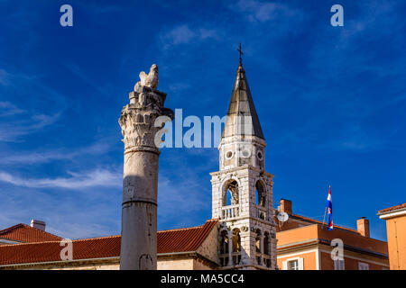 Croazia, Dalmazia, Zara, Zeleni Trg city square, colonne corinzie con Sant'Elia la chiesa Foto Stock