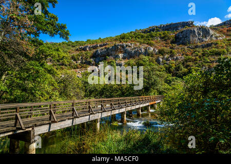 Croazia, Dalmazia, Regione di Sebenico, Parco Nazionale di Krka, Roski slap, Krka Gorge Foto Stock