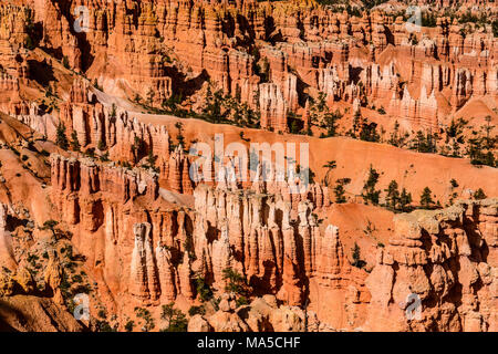 Stati Uniti d'America, Utah, Garfield County, Parco Nazionale di Bryce Canyon, punto Al tramonto, Anfiteatro Foto Stock