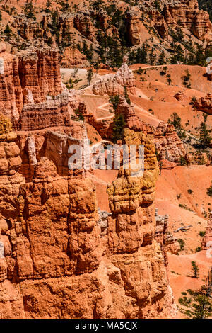 Stati Uniti d'America, Utah, Garfield County, Parco Nazionale di Bryce Canyon, Punto di Sunrise, anfiteatro con Queens Garden Foto Stock