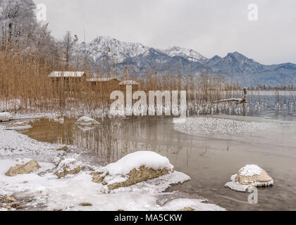 Ance e boathouses al Kochelsee / Lago di Kochel / Lago di Kochel, Baviera, Germania Foto Stock