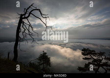 Autunno umore a Herzogstand, montagne di Walchensee, Prealpi bavaresi, Baviera, Germania Foto Stock
