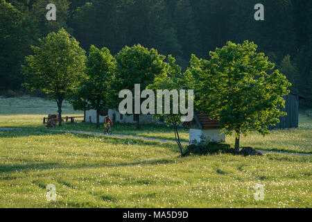 Mountain bike in scena la Längental, vicino Leggries (comune), Alpi Bavaresi, Baviera, Germania Foto Stock