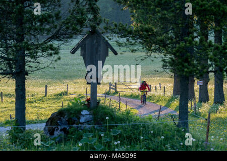 Mountain bike in scena la Längental, vicino Leggries (comune), Alpi Bavaresi, Baviera, Germania Foto Stock