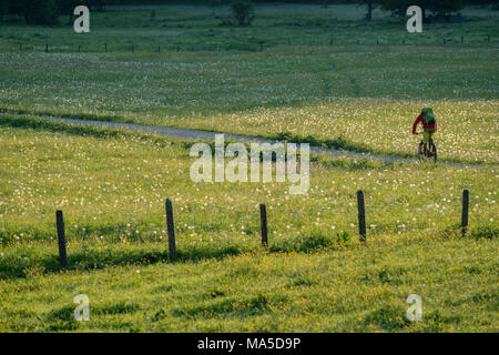 Mountain bike in scena la Längental, vicino Leggries (comune), Alpi Bavaresi, Baviera, Germania Foto Stock