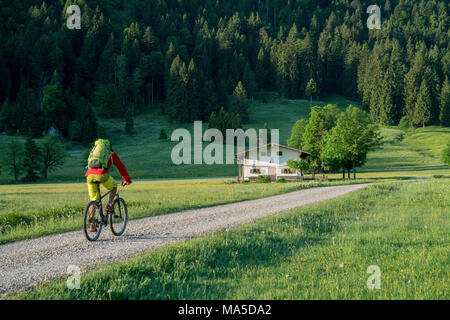 Mountain bike in scena la Längental, vicino Leggries (comune), Alpi Bavaresi, Baviera, Germania Foto Stock