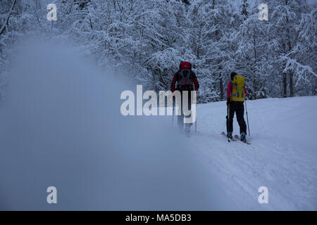 Ski tourer durante la salita il Lenggrieser Hütte (hut) in inverno, Lenggries, Prealpi bavaresi, Baviera, Germania Foto Stock