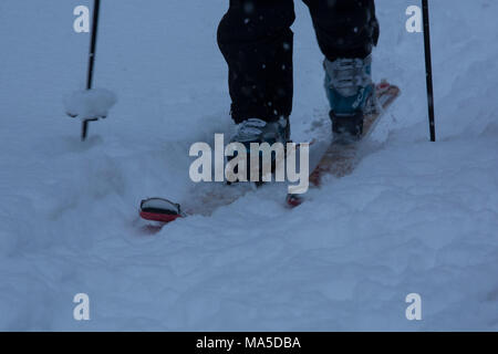 Ski tourer nella neve, dettaglio Lenggries, Prealpi bavaresi, Baviera, Germania Foto Stock