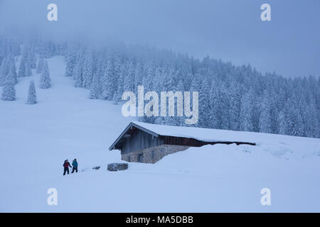 Ski Tourer di fronte Lenggrieser Hütte (hut) in inverno, Lenggries, Prealpi bavaresi, Baviera, Germania Foto Stock