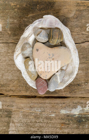 Di pietra a forma di cuore sulla shell, still life, terra di legno Foto Stock
