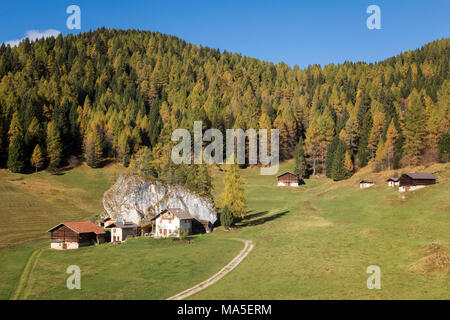 Fosne, tipico paese alpino, Fosne, Valle di Primiero, Trentino Dolomiti Foto Stock