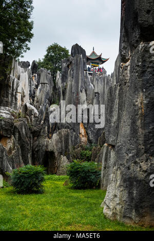 La foresta di pietra o di Shilin, Kunming, nella provincia dello Yunnan in Cina, Asia, Asia, Asia orientale, Estremo Oriente Foto Stock