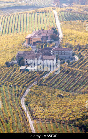 Vigneti del vino Prosecco in autunno, Valdobbiadene area, Treviso, Veneto, Italia Foto Stock