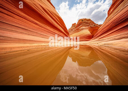 L'onda Coyote Buttes North, Paria Canyon-Vermillion scogliere deserto altopiano del Colorado, Arizona, Stati Uniti d'America Foto Stock