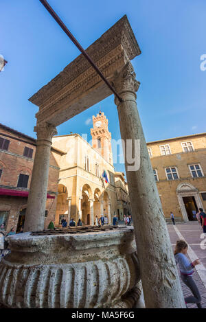 Pienza, Val d'Orcia,Siena district, Toscana, Italia,l'Europa. L'albero di Piazza Pio II Foto Stock