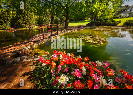 Una suggestiva vista del Parco Giardino Sigurtà con la sua fioritura di tulipani, Valeggio sul Mincio, provincia di Verona, regione Veneto, Italia, Europa Foto Stock