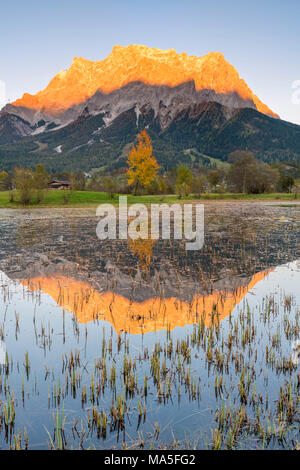 Ehrwald, distretto di Reutte, Tirolo, Austria, l'Europa. Foto Stock