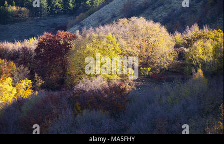 I colori dell'Autunno nel Parco Nazionale del Gran Sasso, Fonte Cerreto village, L'Aquila district, Abruzzo, Italia Foto Stock