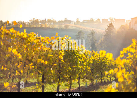 Levizzano Rangone, la provincia di Modena, Emilia Romagna, Italia Foto Stock