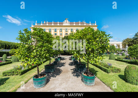 Vienna, Austria, l'Europa. Il Palazzo di Schönbrunn e il Privy Garden Foto Stock