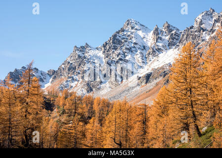 L'unione di due stagioni presso l'Alpe Devero, Provincia di Verbano Cusio - Ossola, Piemonte, Italia, Europa Foto Stock