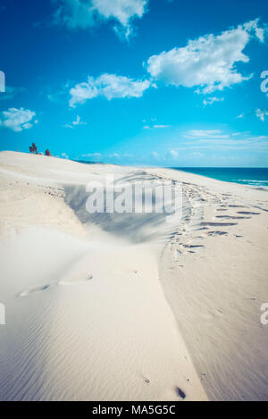 Le dune di sabbia di Is Arenas Biancas, Teulada, provincia di Cagliari, Sardegna, Italia, Europa. Foto Stock