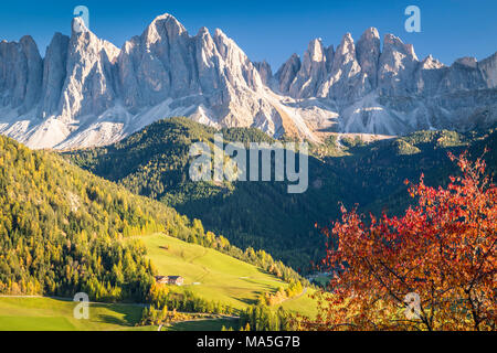 Santa Magdalena, Val di Funes. Parco naturale Puez - Odle, Alto Adige, Italia Foto Stock