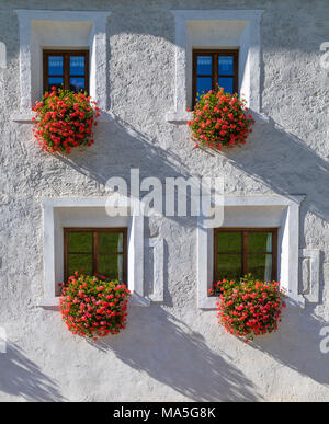 Finestra con gerani (Pelargonium sp.) su una facciata di un vecchio edificio in Alto Adige, Rasen-Antholz, Bolzano, Italia Foto Stock