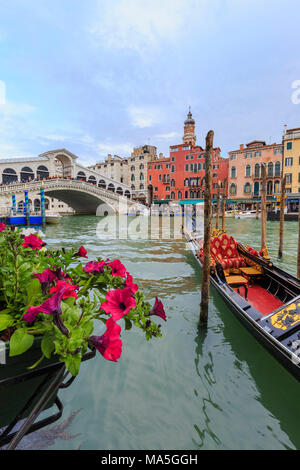 Fiori che si affaccia sul Canal Grande con la gondola e il Ponte di Rialto in background, Venezia, Veneto, Italia. Foto Stock