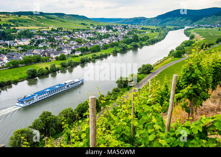 La nave di crociera passando un vigneto in Muehlheim,, valle della Mosella, Renania-Palatinato, Germania Foto Stock