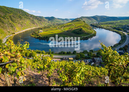 Nave da crociera presso il fiume Moselle piegare a Bremm visto attraverso i vigneti, valle della Mosella, Renania-Palatinato, Germania Foto Stock