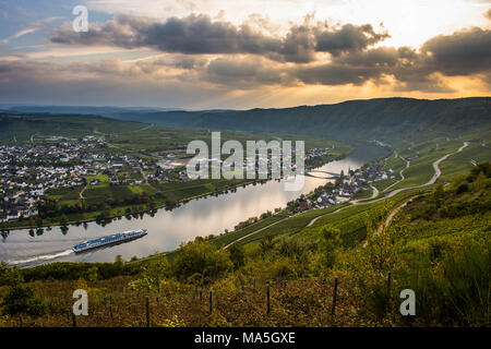 I vigneti intorno a Piesport e una nave da crociera sul fiume Moselle, valle della Mosella, Renania-Palatinato, Germania Foto Stock
